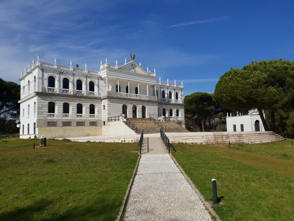 Doñana National Park and El Rocío: Day Trip from Seville