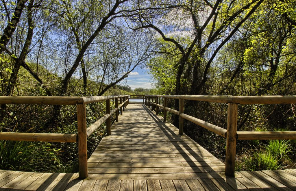 Parco Nazionale di Doñana e El Rocío: gita di un giorno da Siviglia