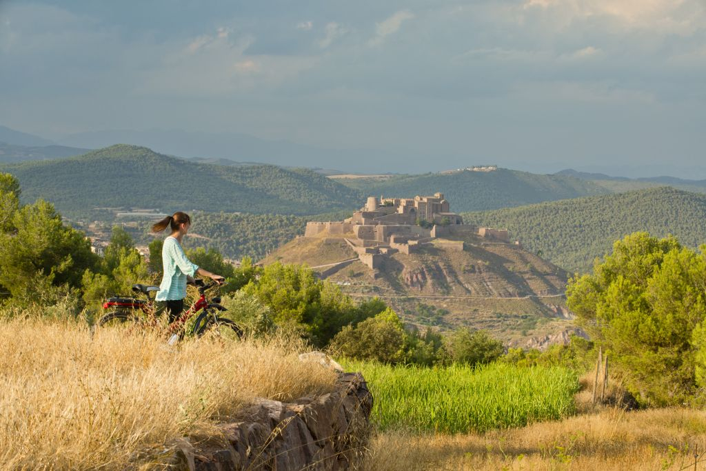 Castle of Cardona: Guided Visit