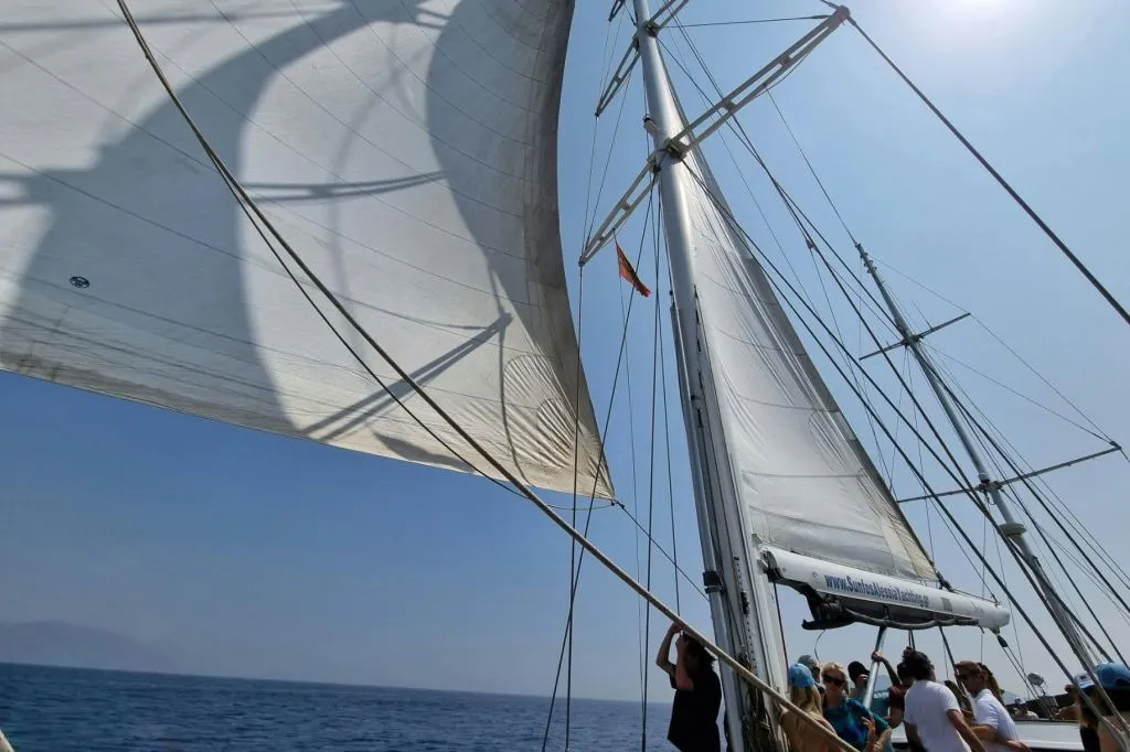 Mykonos : Croisière en bateau vers Rhenia + visite guidée de Delos