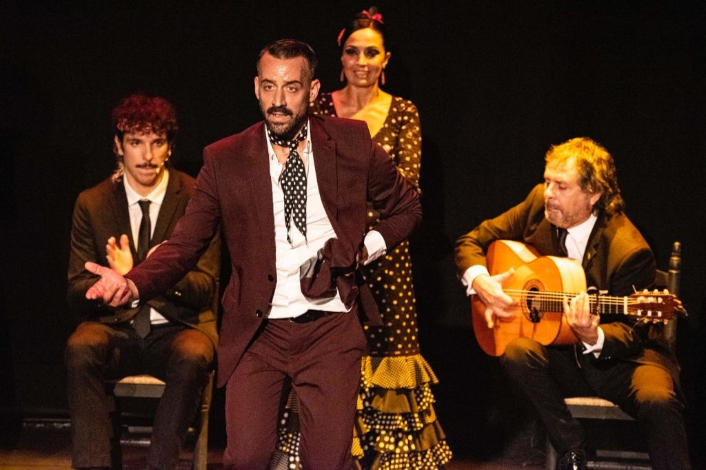 Séville : Visite en bus + croisière + spectacle de flamenco + visite guidée de la ville