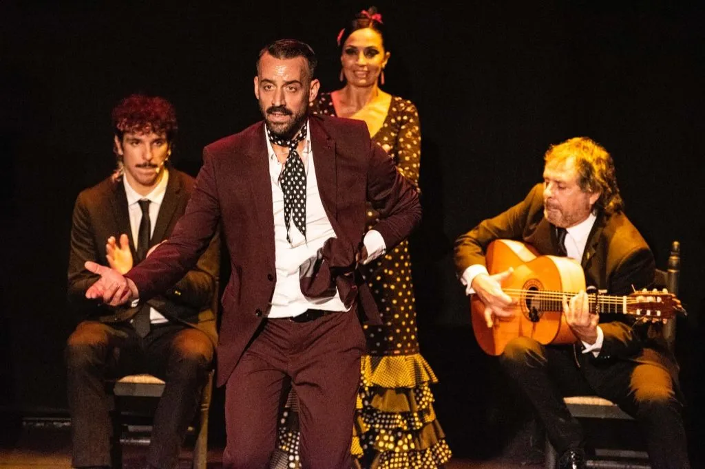 Seville: Bus Tour + Cruise + Flamenco Show + Guided City Tour