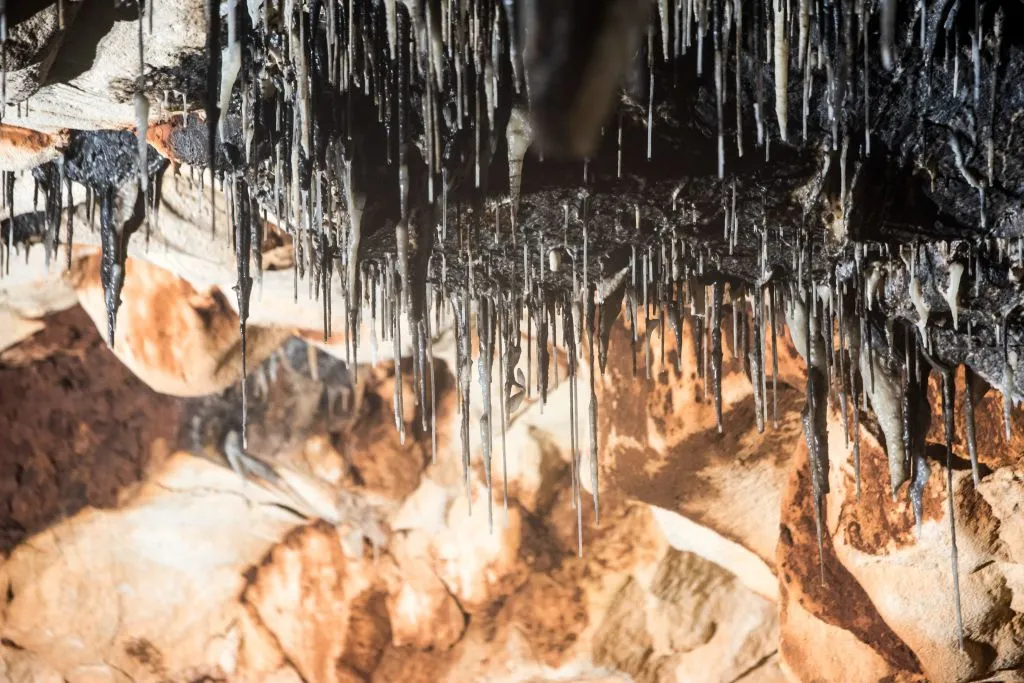 Cova de s'Aigua: Visita guiada