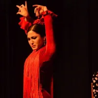 Seville: Flamenco Dance Class