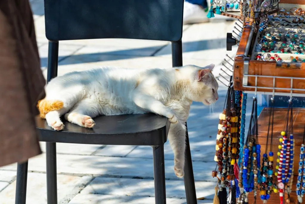 Athens: Small-Group Night Walking Tour + Dinner