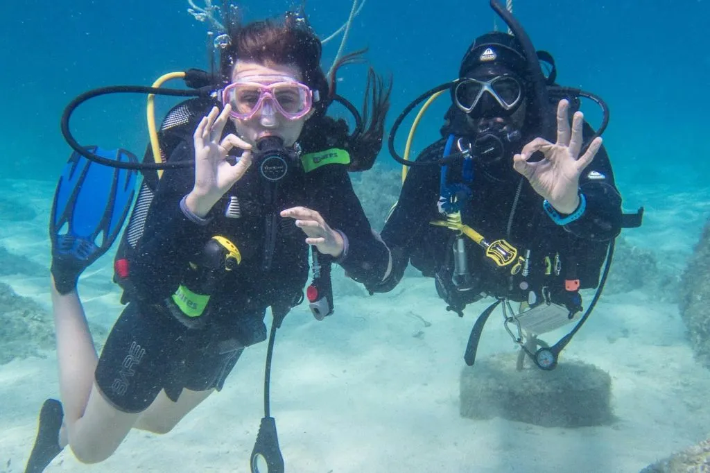 Blue Waters Dive Cove : 3 jours de cours PADI Open Water