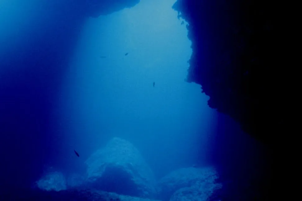 Blue Waters Dive Cove : 3 jours de cours PADI Open Water