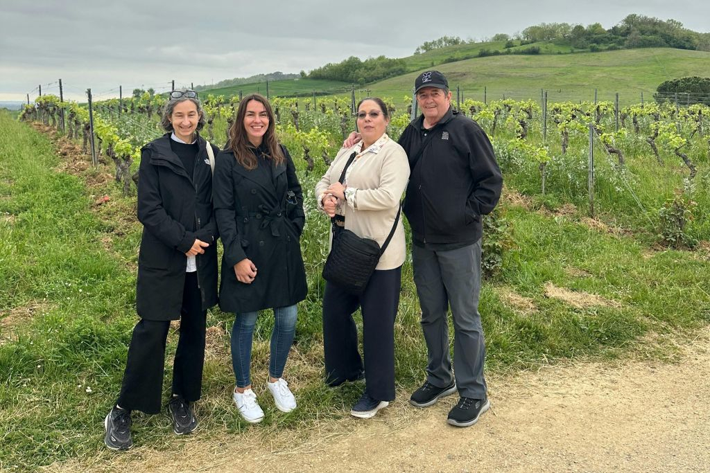 Albi, Cordes-sur-Ciel et Gaillac : Visite guidée depuis Toulouse + dégustation de vins