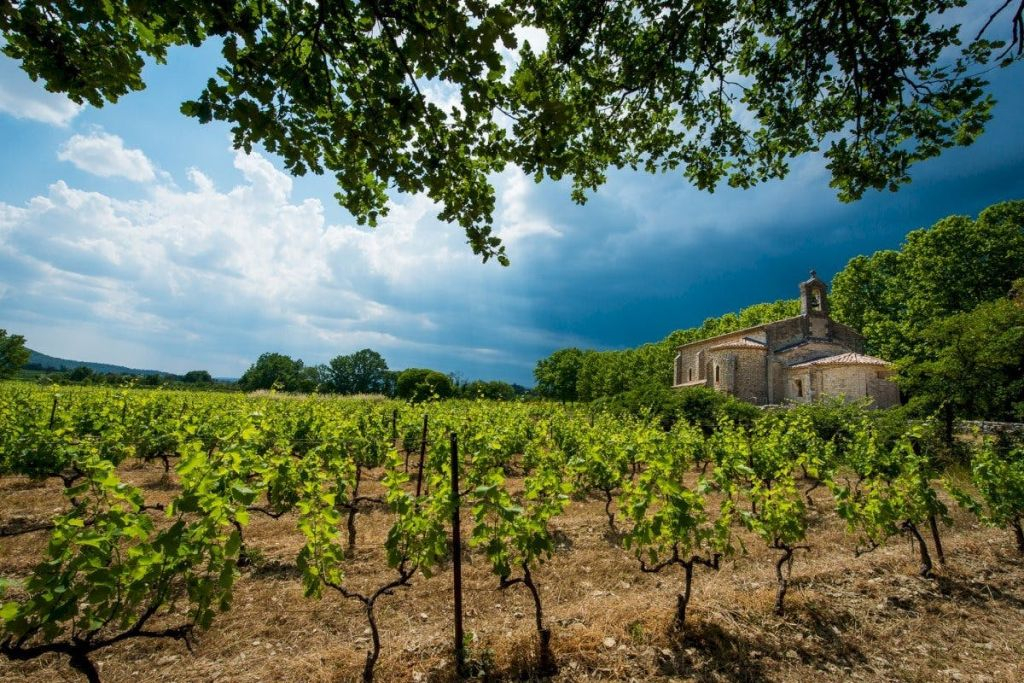 Albi, Cordes-sur-Ciel et Gaillac : Visite guidée depuis Toulouse + dégustation de vins