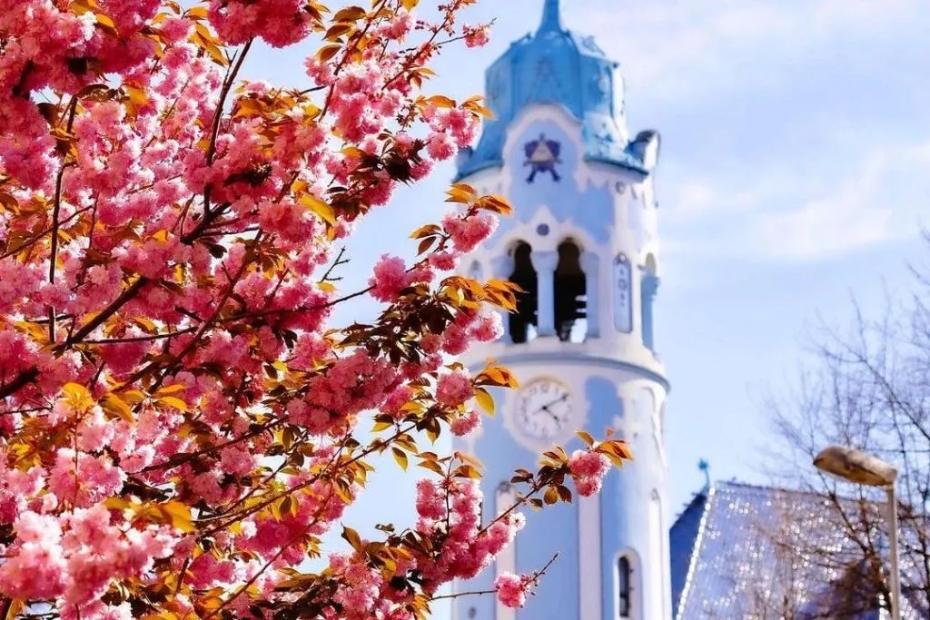 Bratislava: Passeio a pé guiado + City Tour de carro + Traslado de Viena