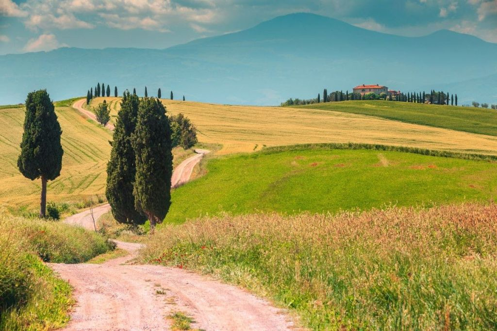 Chianti: Visita guiada a partir de Siena + Prova de vinhos e azeite