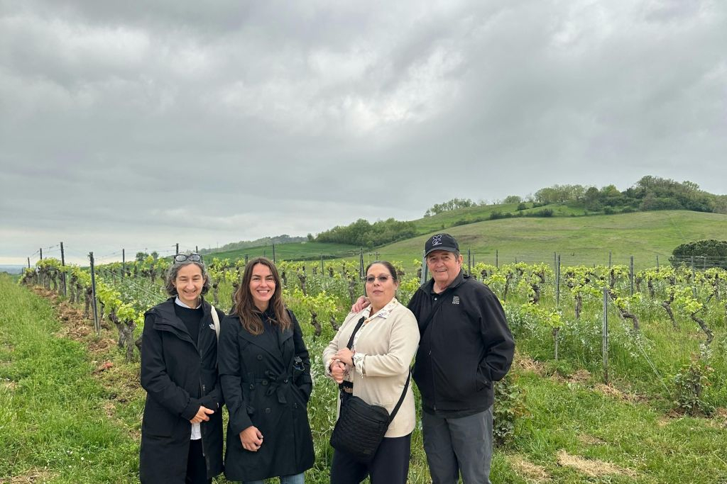Gaillac Wine: Half Day Tour from Toulouse