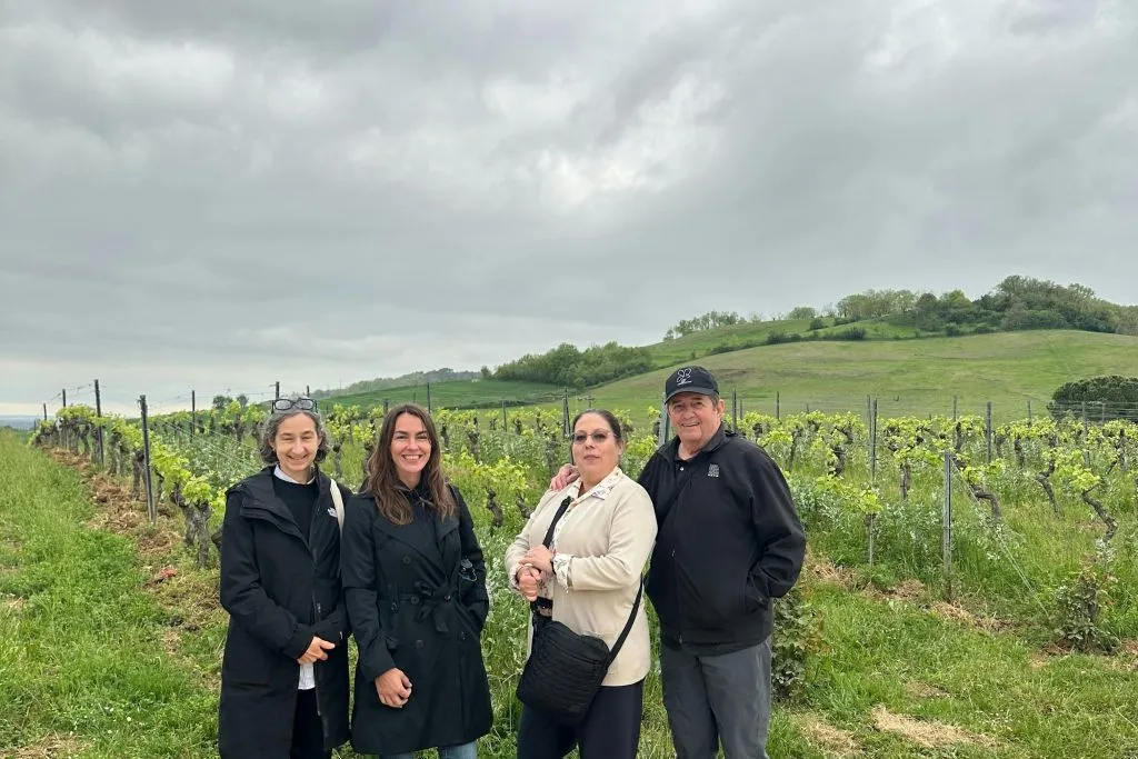 Gaillac Wine: Half Day Tour from Toulouse