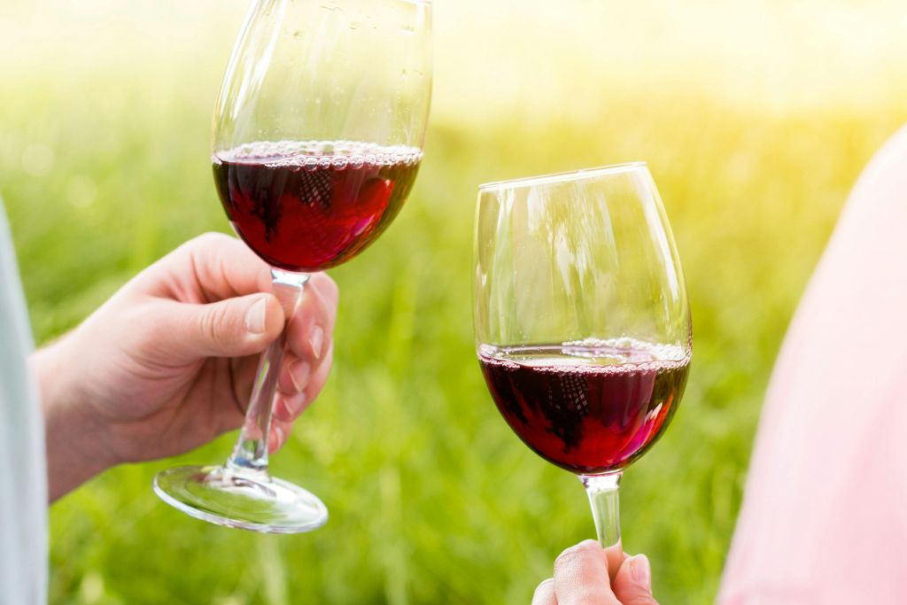 Gaillac Wine: Half Day Tour from Toulouse