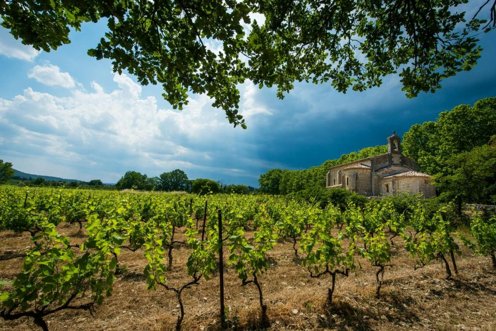 Gaillac Wine: Half Day Tour from Toulouse
