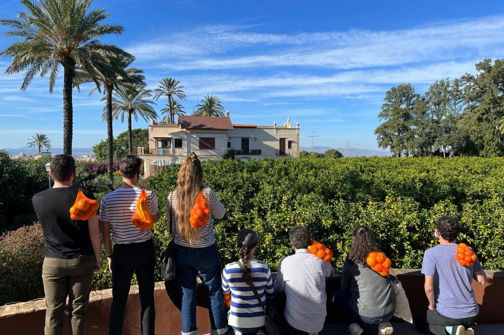 Huerto Ribera: Visita guiada a um pomar de laranjeiras a partir de Valência + prova de comida