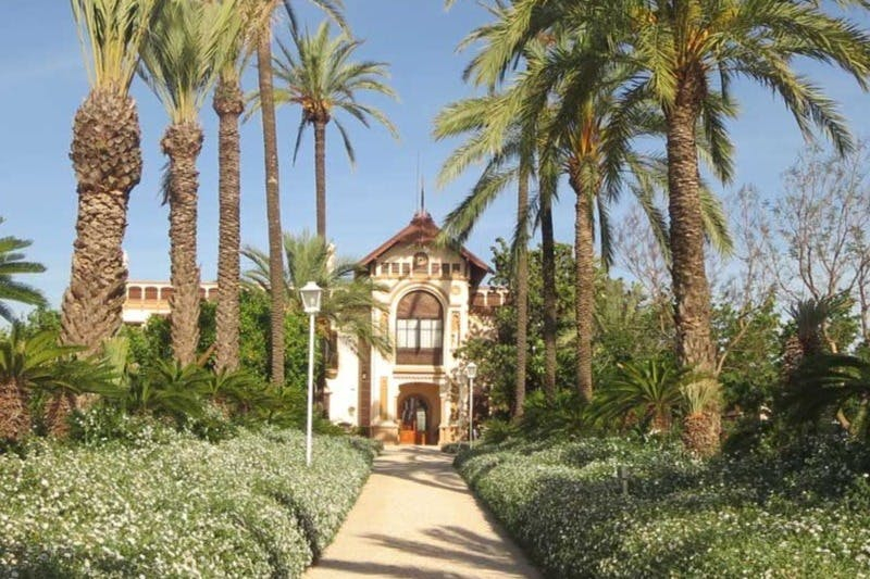 Huerto Ribera: Guided Orange Orchard Tour from Valencia + Food Tasting