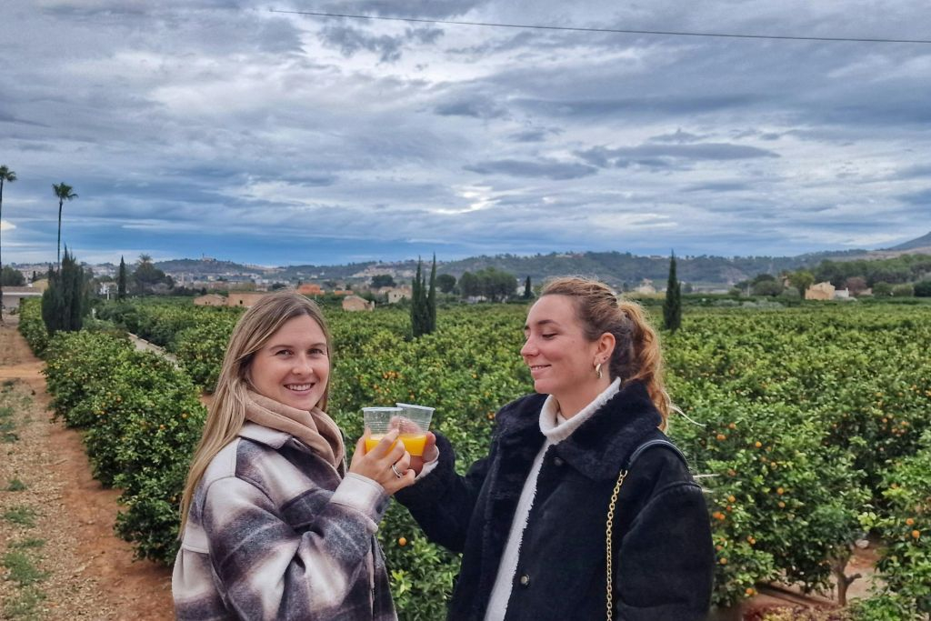 Huerto Ribera: Visita guiada a um pomar de laranjeiras a partir de Valência + prova de comida