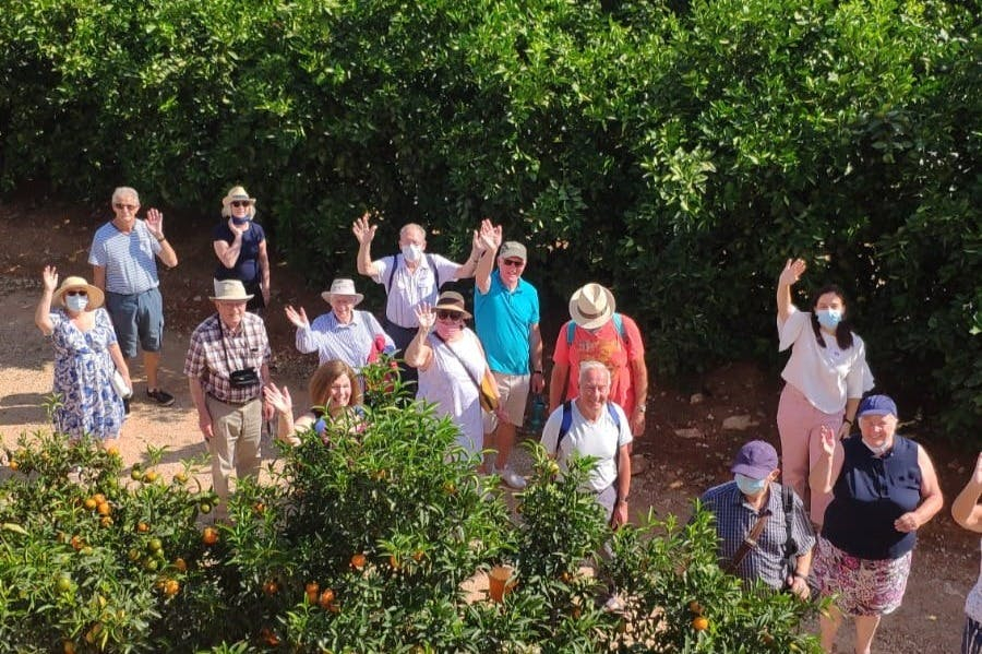 Huerto Ribera: Visita guiada a um pomar de laranjeiras a partir de Valência + prova de comida