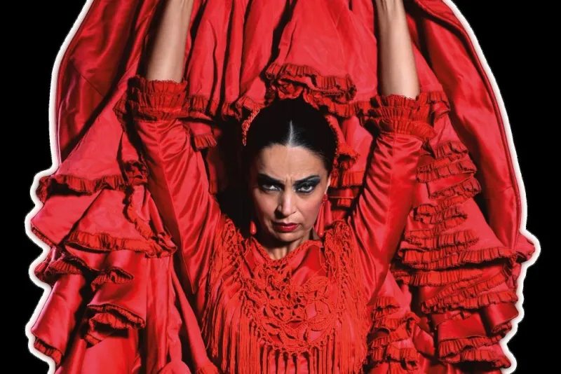 Barcelona: Espectáculo de flamenco en el Teatro Flamenco