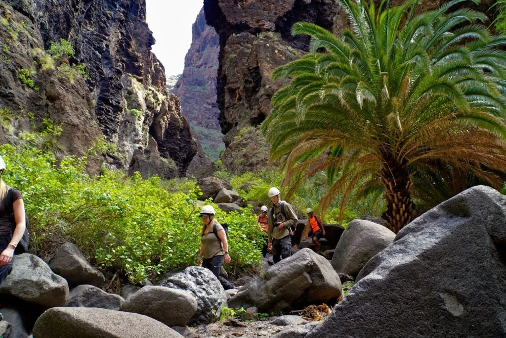 Barranco de Masca: Descenso Guiado + Paseo en Barco + Traslado