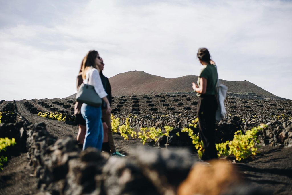 Bodegas El Grifo: Tour guiado + Cata de vinos
