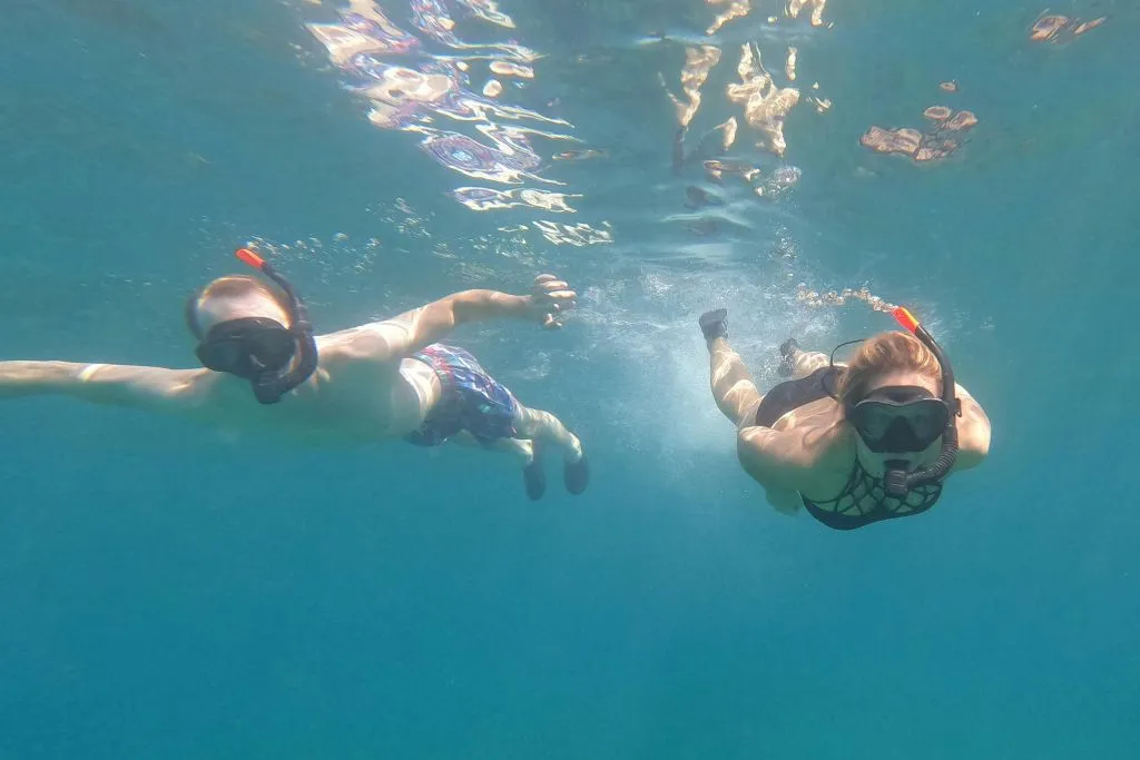 Fuerteventura: Excursión guiada de snorkel + Traslado de ida y vuelta