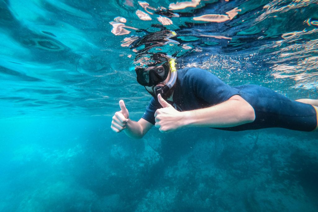 Fuerteventura: Tour guidato di snorkeling + trasferimento di andata e ritorno