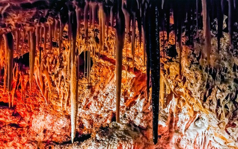 Cuevas de Génova: Entrada sin colas