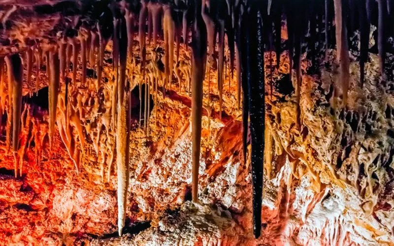Cuevas de Génova: Entrada sin colas