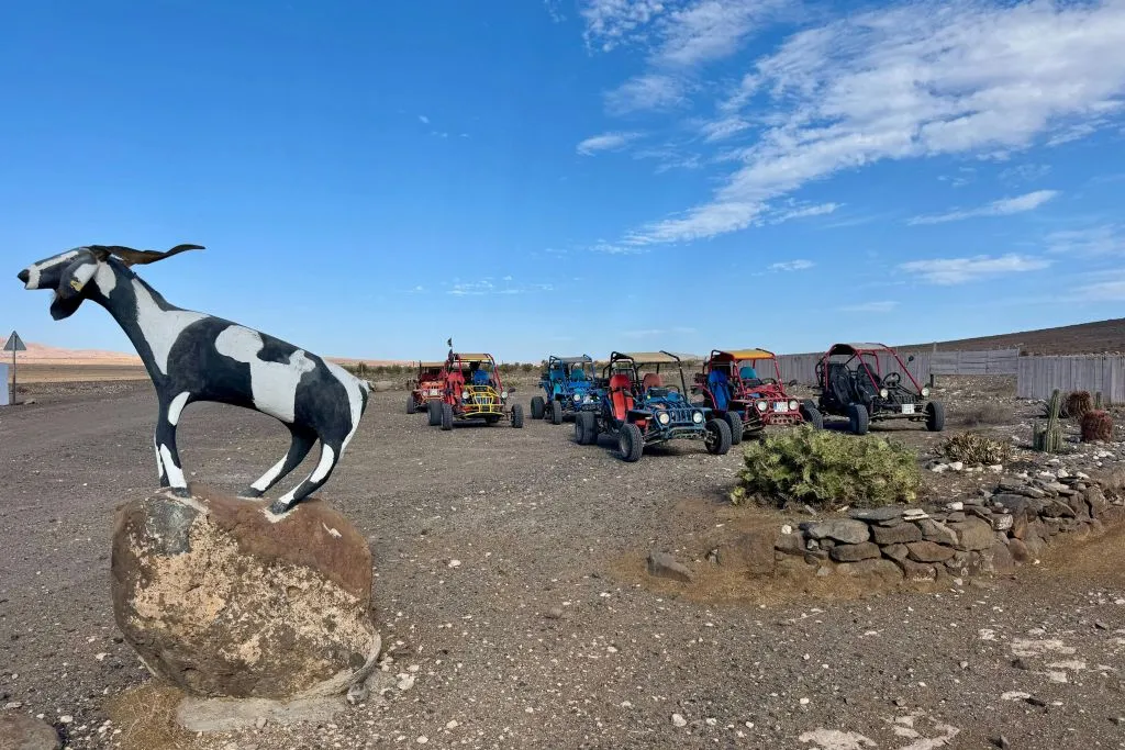Fuerteventura: Excursión Guiada en Buggy + Recogida en el Hotel