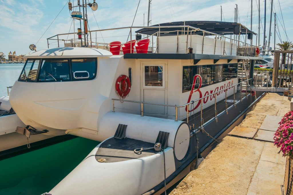 Valencia: Catamaran Cruise + Mussel & Wine Tasting