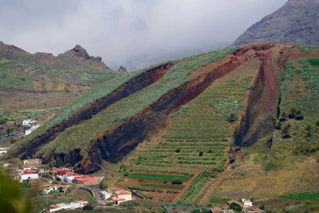 Masca y Teno: Visita guiada en grupo reducido + Traslado + Degustación