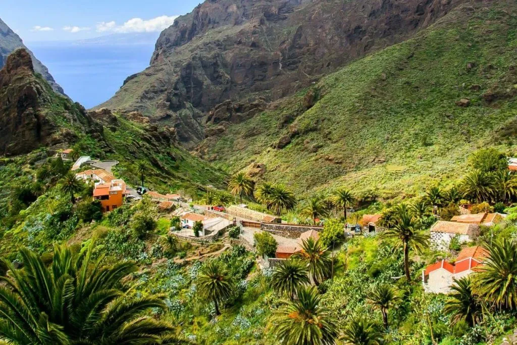 Masca y Teno: Visita guiada en grupo reducido + Traslado + Degustación