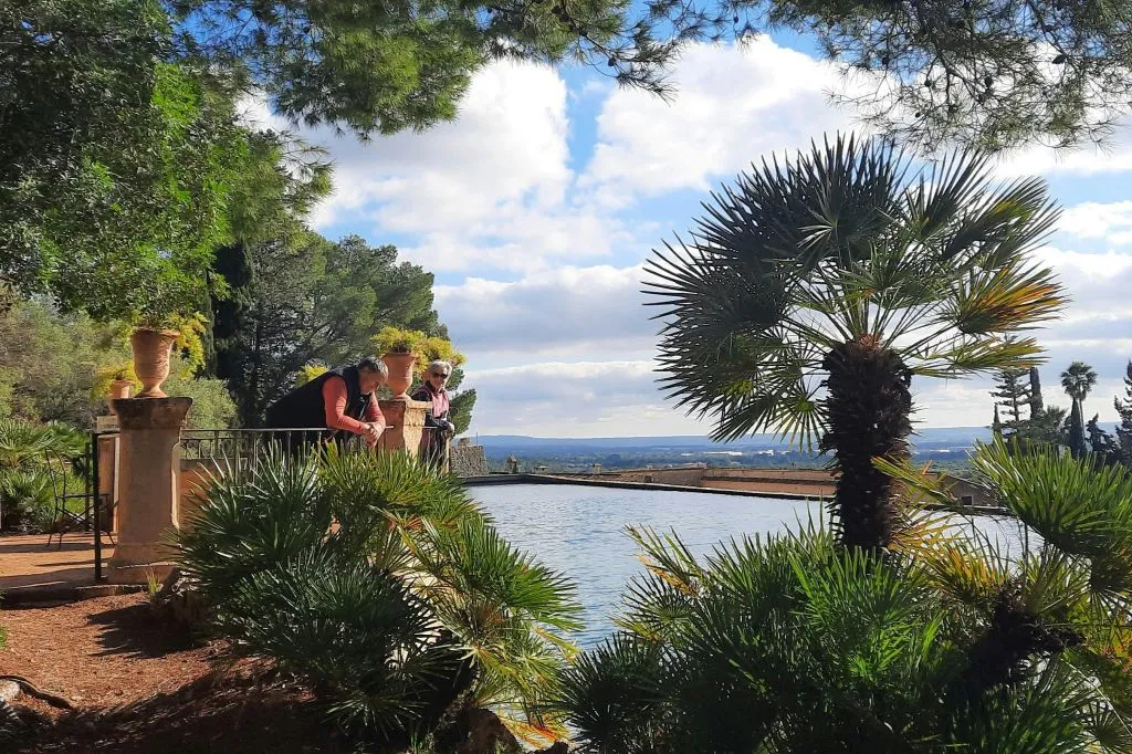 Mallorca: Visita Guiada + Traslado + Degustación de Vino y Pa Amb Oli
