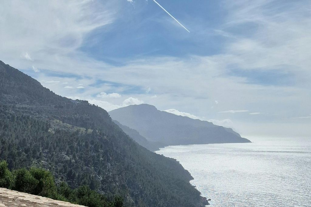 Mallorca: Visita Guiada + Traslado + Degustación de Vino y Pa Amb Oli