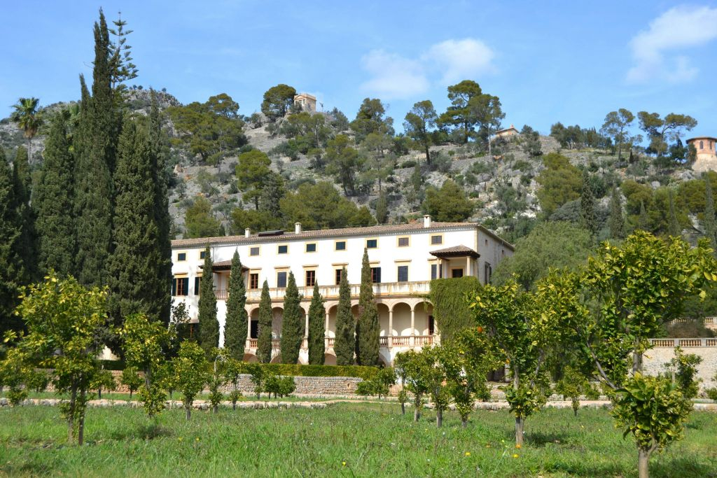 Mallorca: Visita Guiada + Traslado + Degustación de Vino y Pa Amb Oli