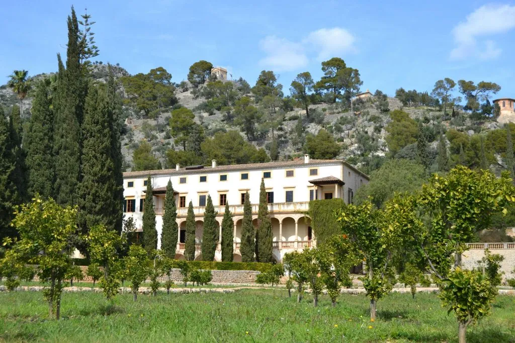 Mallorca: Visita Guiada + Traslado + Degustación de Vino y Pa Amb Oli