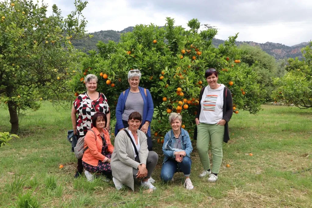 Mallorca: Visita Guiada + Traslado + Degustación de Vino y Pa Amb Oli