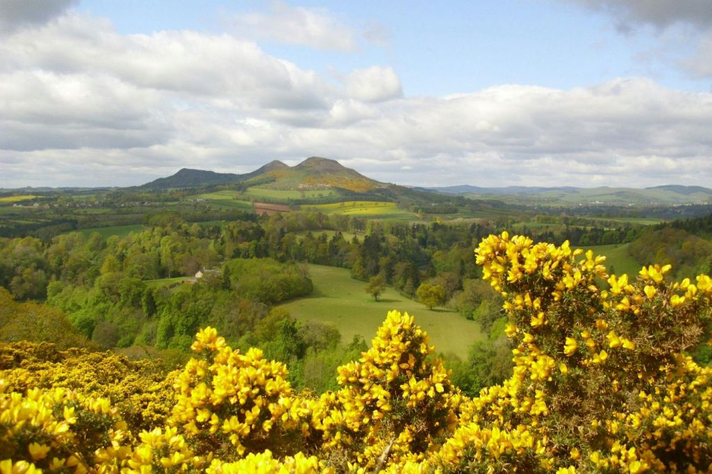 Rosslyn Chapel & Scottish Borders: Guided Tour from Edinburgh