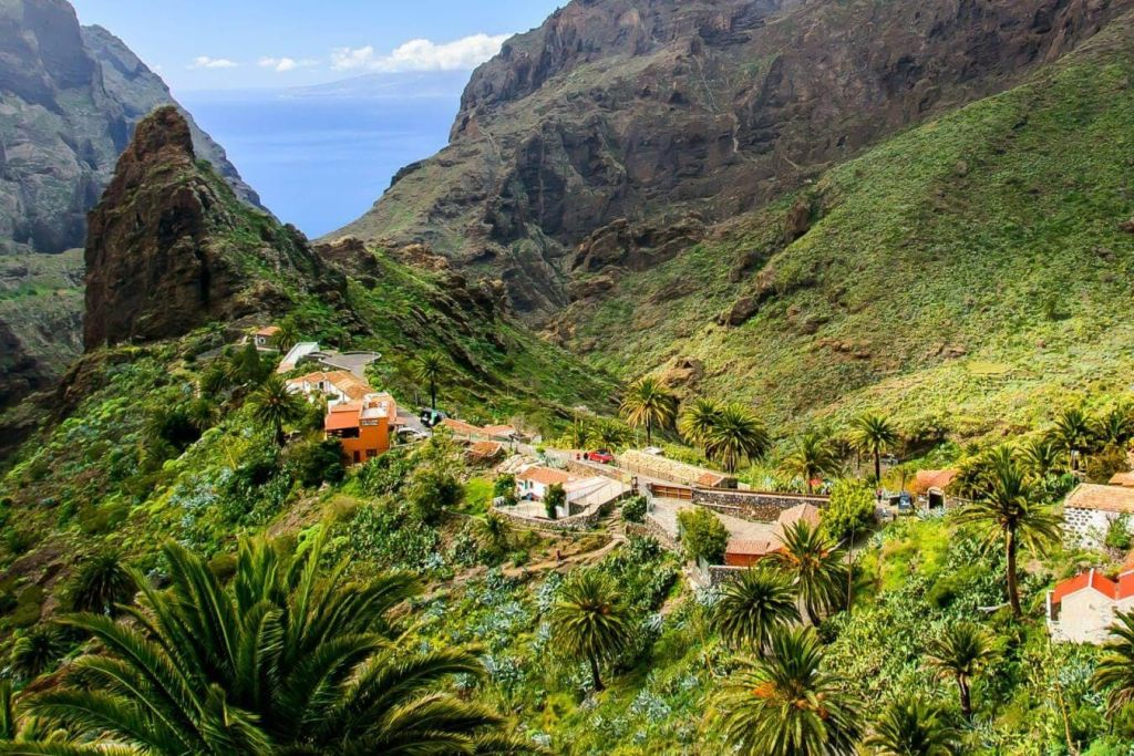 Masca y Teno: Senderismo guiado desde Las Portelas