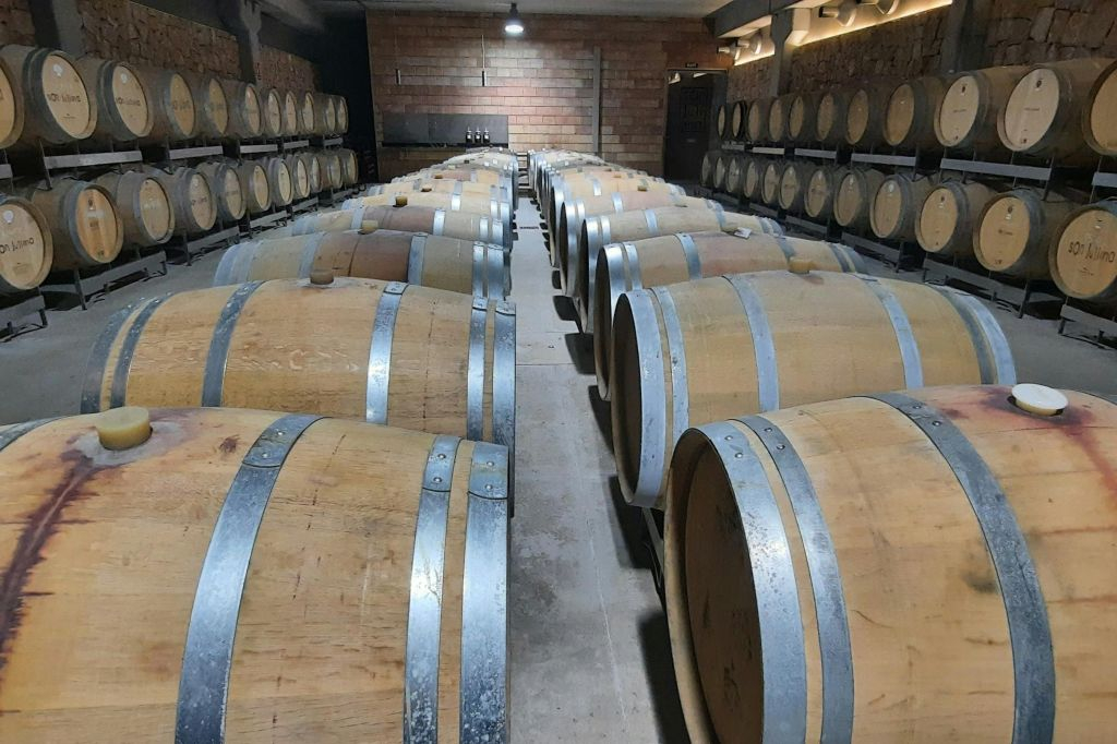 Mallorca: Visita Guiada a Bodegas al Atardecer + Recogida + Degustaciones