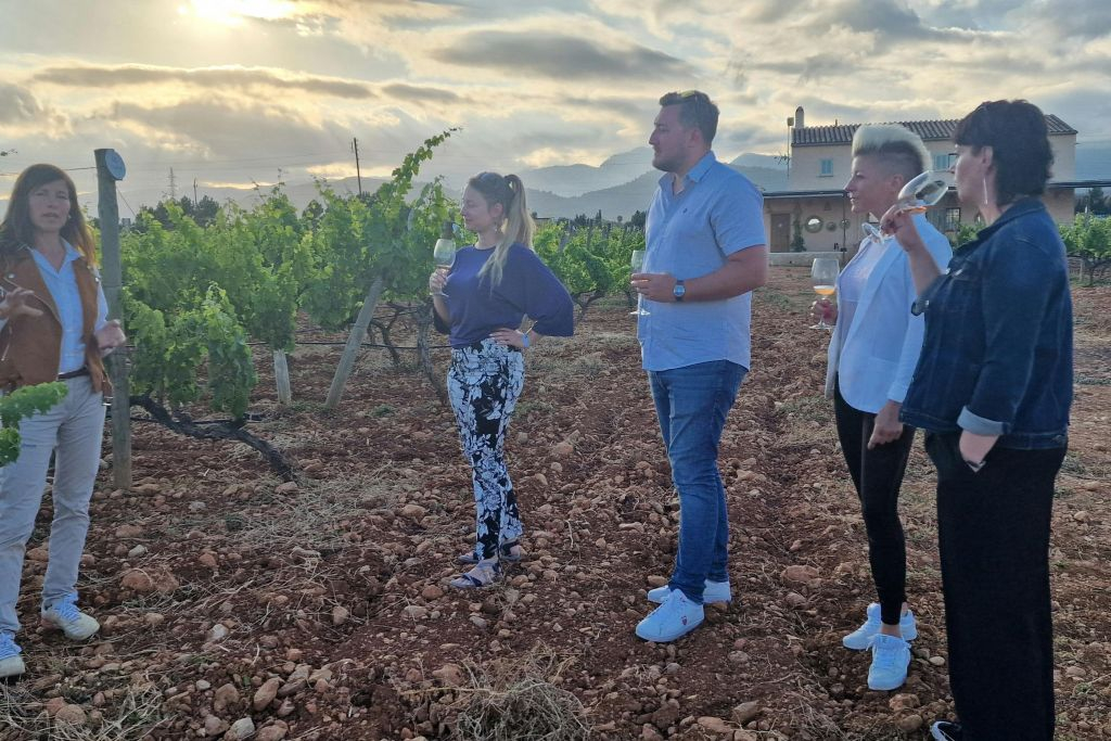 Mallorca: Visita Guiada a Bodegas al Atardecer + Recogida + Degustaciones