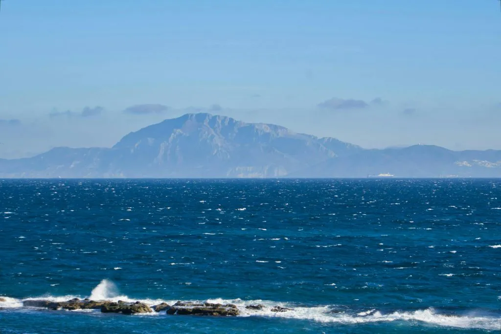 Tarifa: Excursión de avistamiento de delfines y ballenas desde Sevilla