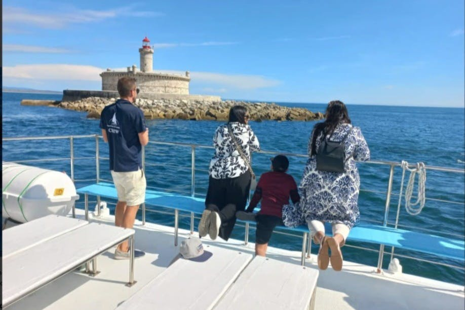 Lisbon: Guided Dolphin Watching Cruise + Open Bar