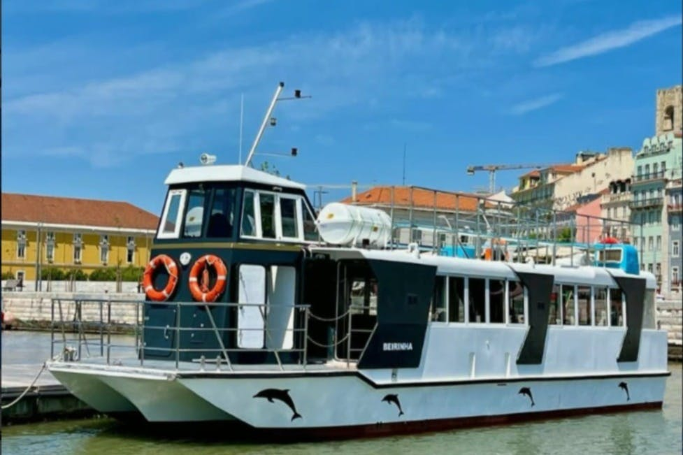 Lisbon: Guided Dolphin Watching Cruise + Open Bar