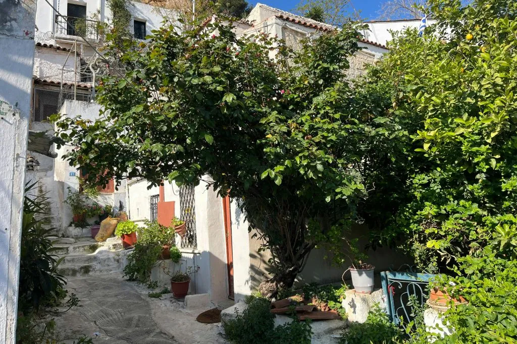 Athens: Guided City Walking Tour