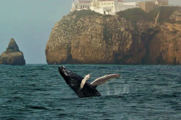 Sagres: Excursión guiada de aventura en la naturaleza