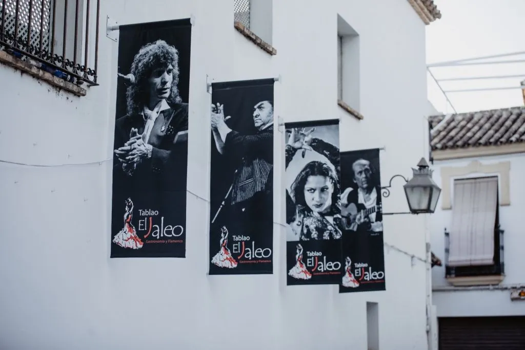 Tablao El Jaleo: Flamenco Show + Optional Meal