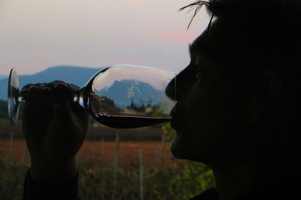 Mallorca: Guided Winery Tour + Transfer + Wine Tasting